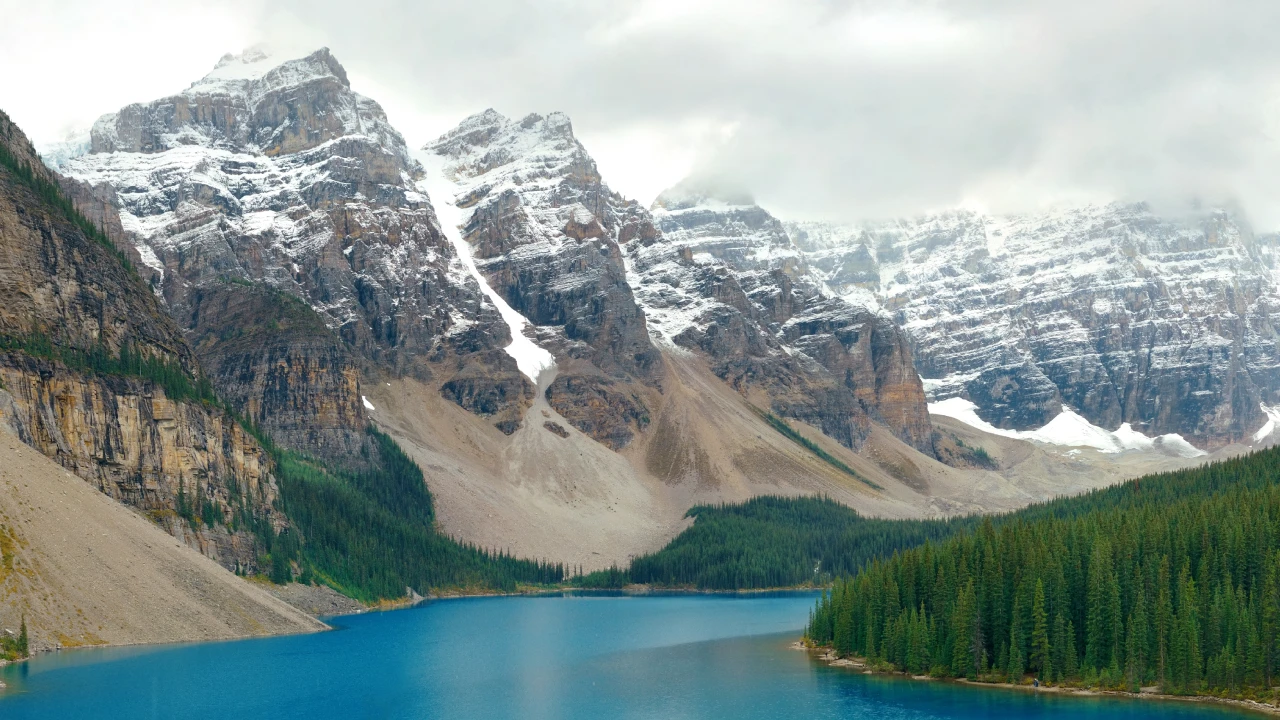 Classic cars demand increasing